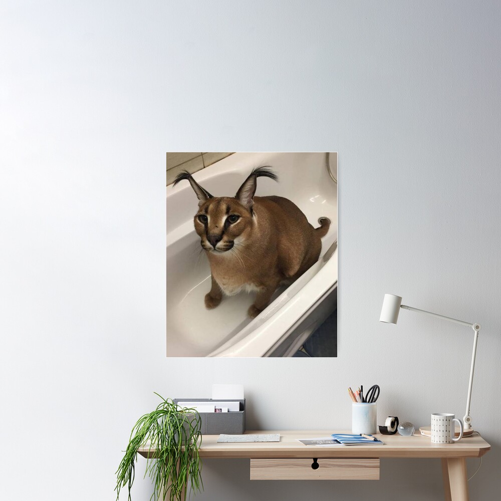 Póster for Sale con la obra «Gran Gato Floppa Meme» de momshow