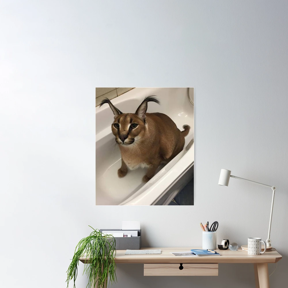 Lámina fotográfica for Sale con la obra «Gran Gato Floppa Meme» de momshow