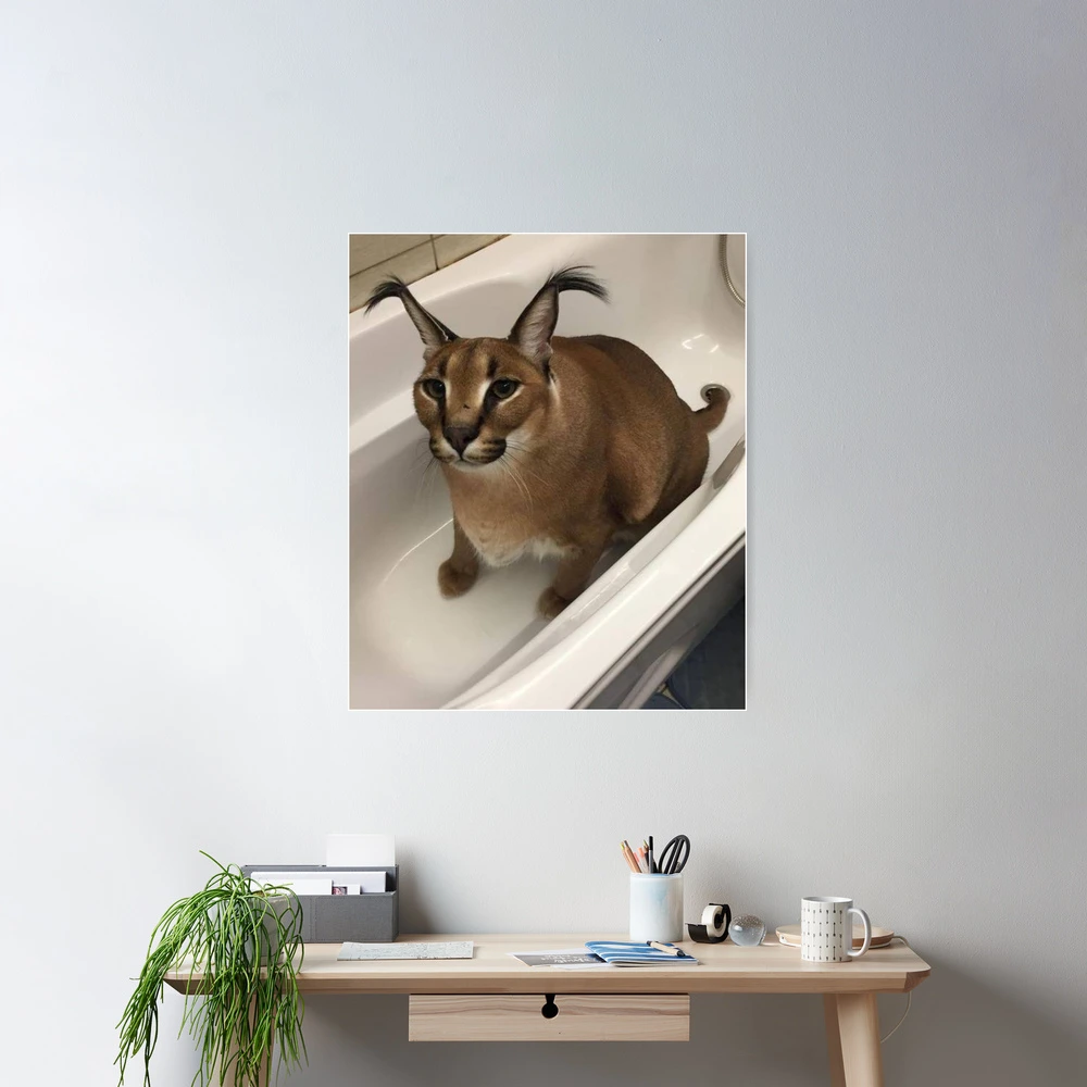 Lámina fotográfica for Sale con la obra «Gran Gato Floppa Meme» de momshow