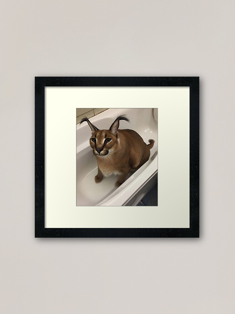 Drunk Floppa Meme Caracal Cat  Canvas Print for Sale by