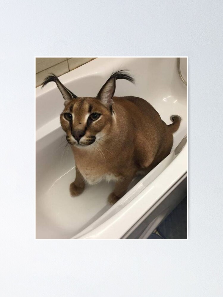 Big Floppa Caracal GIF - Big Floppa Floppa Caracal - Discover