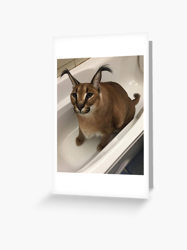 Big Floppa Cat Meme | Greeting Card