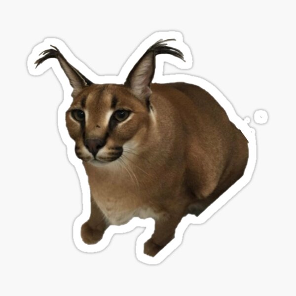 Floppa Big Floppa GIF - Floppa Big Floppa Caracal - Discover