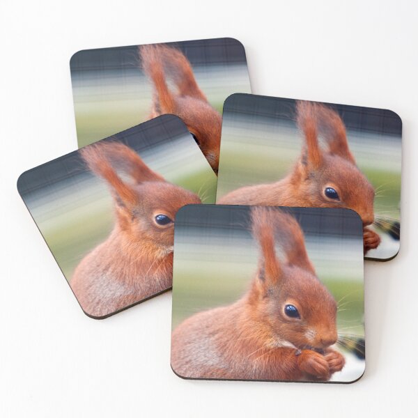 Item preview, Ardilla Nutkins designed and sold by Dalyndigital Photography.