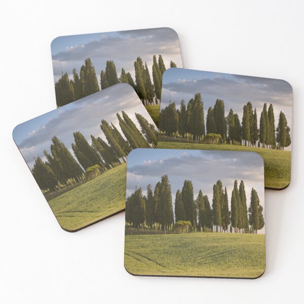 Item preview, Group of cypress trees in Tuscan landscape designed and sold by Dolfilms.