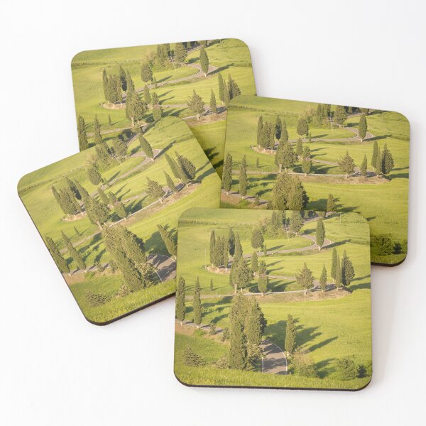 Item preview, Line of cypress trees in bright sunlight designed and sold by Dolfilms.