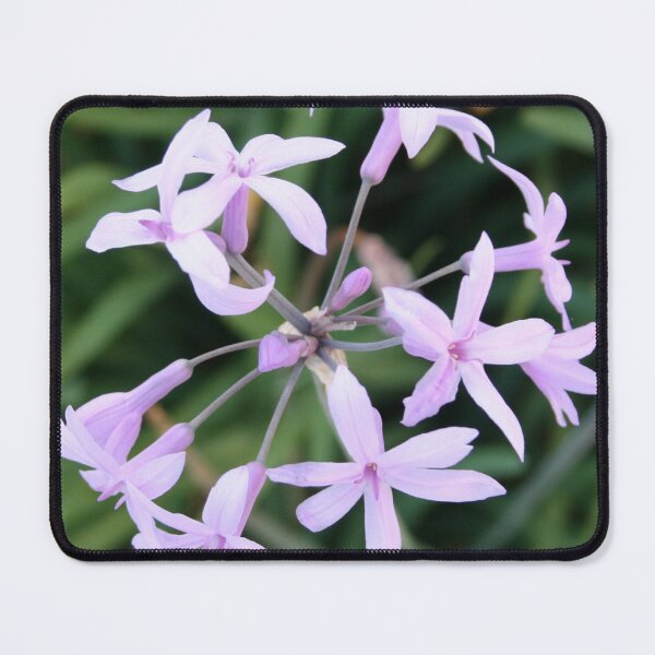 Item preview, Wild Garlic Mauve Cluster Close Up Photograph designed and sold by taiche.