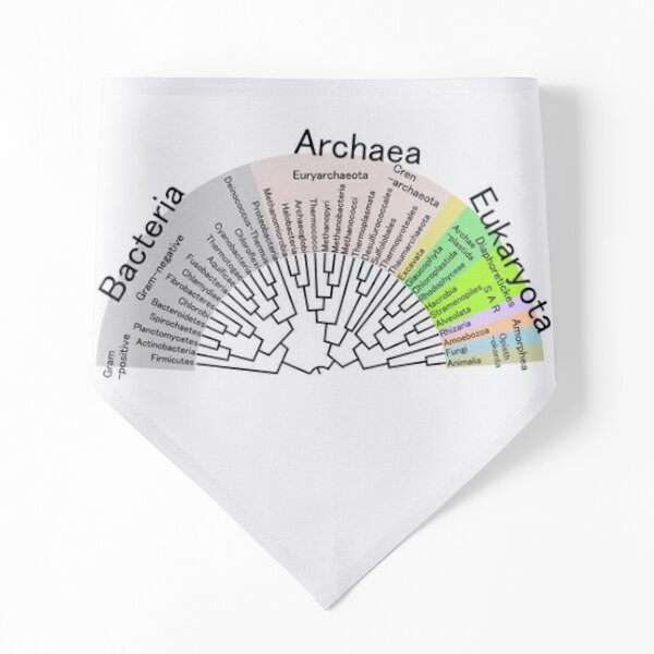 Phylogenetic Evolutionary Tree: Bacteria, Archaeva, Eukaryota Pet Bandana