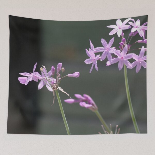 Item preview, Society Garlic Close Up Photograph designed and sold by taiche.