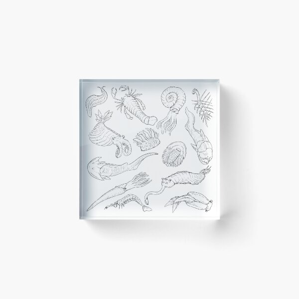 Item preview, Oddities of the Prehistoric Sea designed and sold by tyrannart.