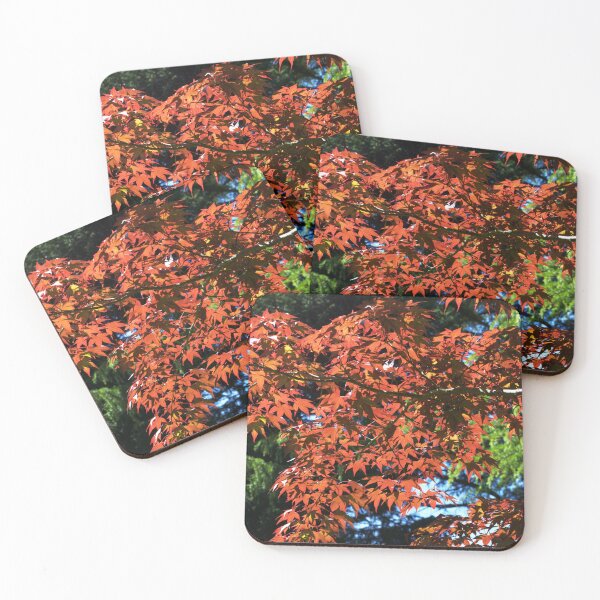 Item preview, Japanese Maple canopy designed and sold by days-photographic.