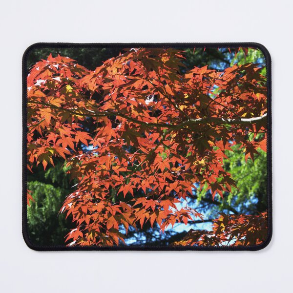 Item preview, Japanese Maple canopy designed and sold by days-photographic.