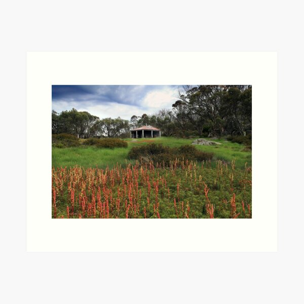 Item preview,  Pretty Valley Hut  designed and sold by Donovan Wilson.