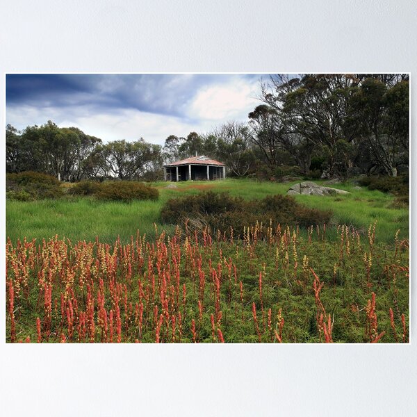 Item preview,  Pretty Valley Hut  designed and sold by Donovan Wilson.