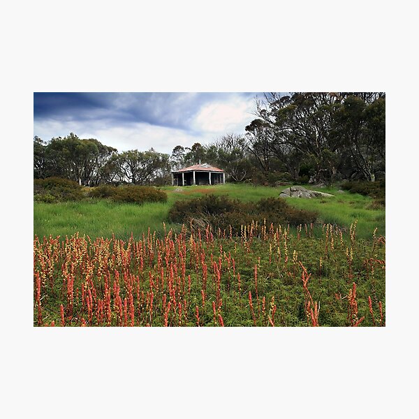 Item preview,  Pretty Valley Hut  designed and sold by Donovan Wilson.
