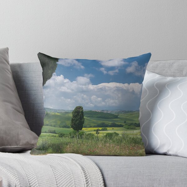 Item preview, Panoramic view on Val d'Orcia, Tuscany designed and sold by Dolfilms.
