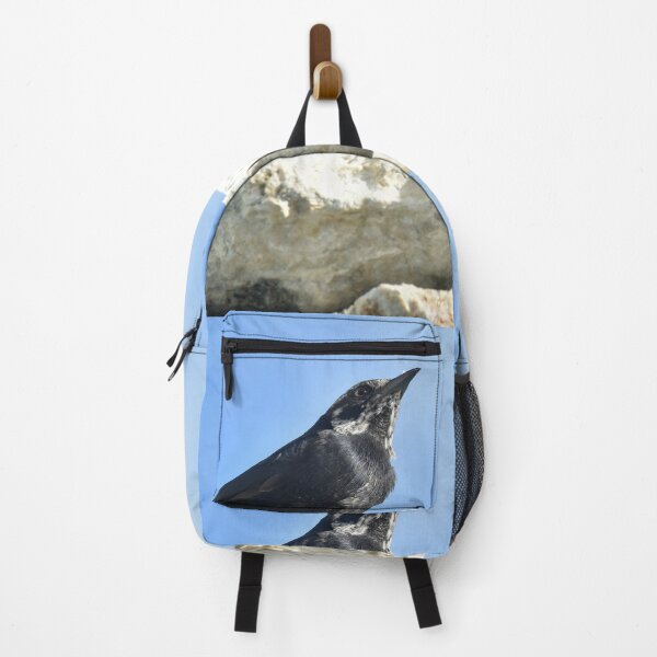 Item preview, Black bird resting on white coral rock against a beautiful blue sky designed and sold by AlishaWatson.