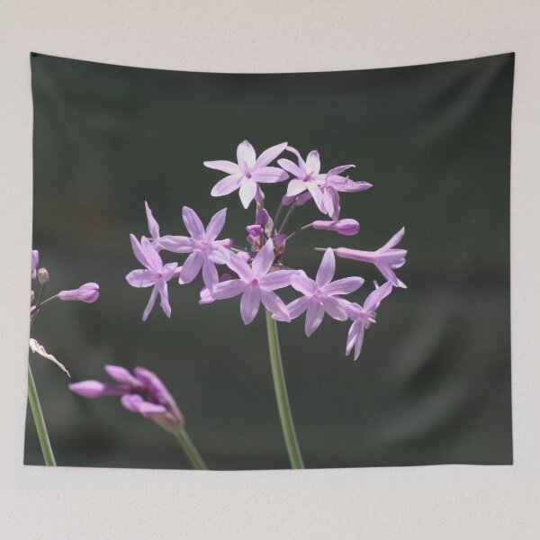 Item preview, Society Garlic Close Up Photograph v2 designed and sold by taiche.
