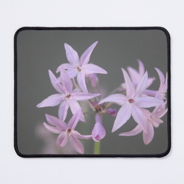 Item preview, Close Up Flower Head Photograph Of Wild Garlic designed and sold by taiche.