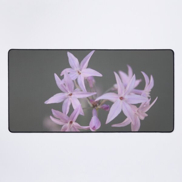 Item preview, Close Up Flower Head Photograph Of Wild Garlic designed and sold by taiche.
