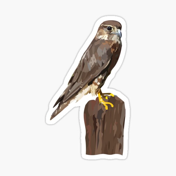 Isla the Merlin Sticker