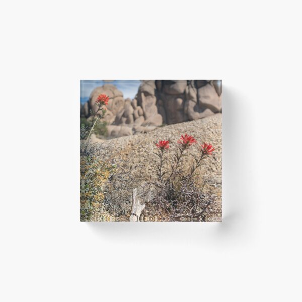Item preview, Flower Wild Jumbo Rocks designed and sold by J Carr Photographer.