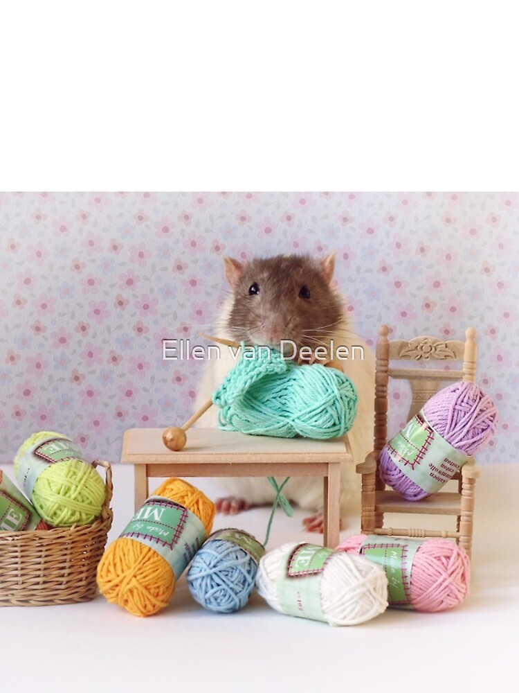 Snoozy wanted to knit ! by Ellen