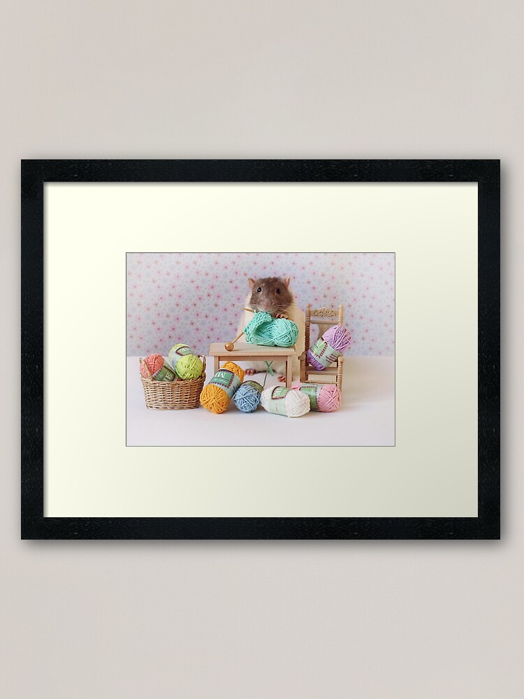 Alternate view of Snoozy wanted to knit ! Framed Art Print