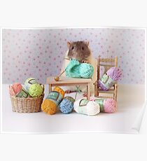 Snoozy wanted to knit ! Poster