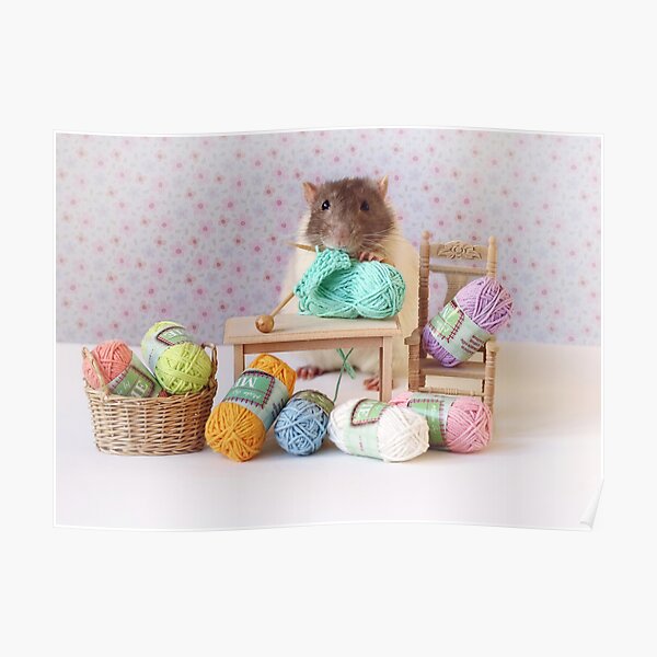 Snoozy wanted to knit ! Poster