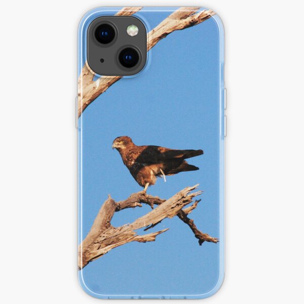 On the lookout iPhone Soft Case