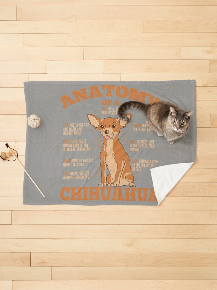 DOGS/CHIHUAHUAS: Anatomy Of A Chihuahua\