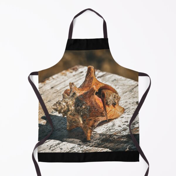Item preview, Mollusk (Soft Bodied Sea Snail) in a Conch Shell on a Piece of Wood designed and sold by AlishaWatson.