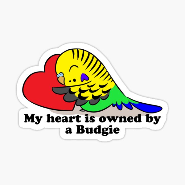 Item preview, My heart belongs to a green budgie designed and sold by lifewithbirds.
