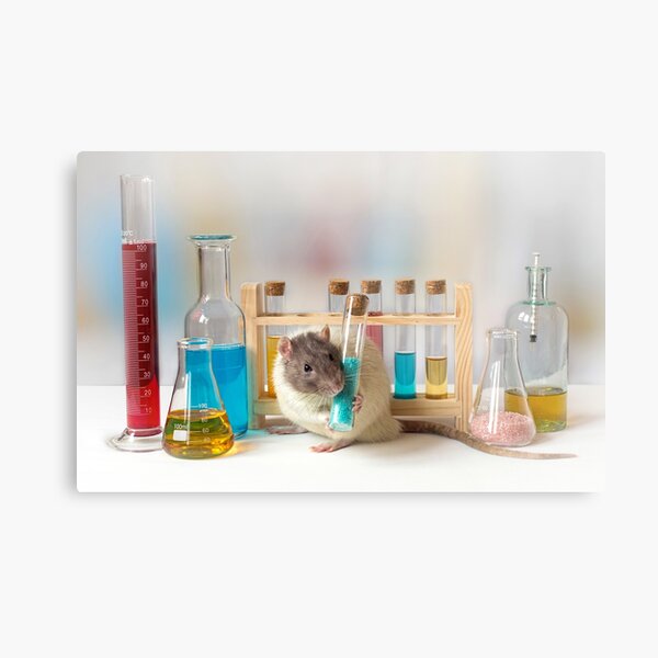 Working at the Laboratory Metal Print