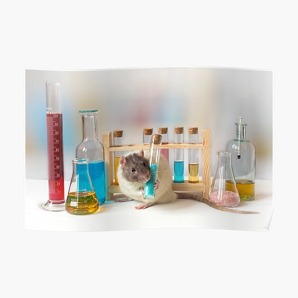 Working at the Laboratory Poster