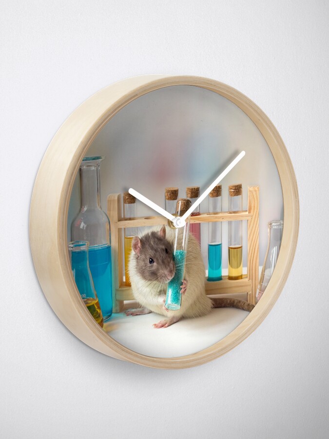 Alternate view of Working at the Laboratory Clock