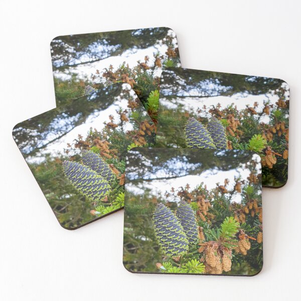 Item preview, Fresh fir cones in spring designed and sold by Fashion through the ages.
