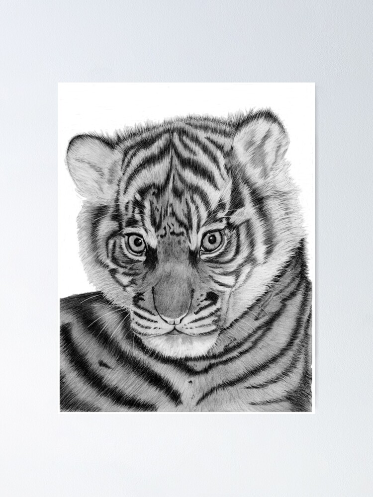 Poster for Sale avec l uvre Tigre noir et blanc de l artiste