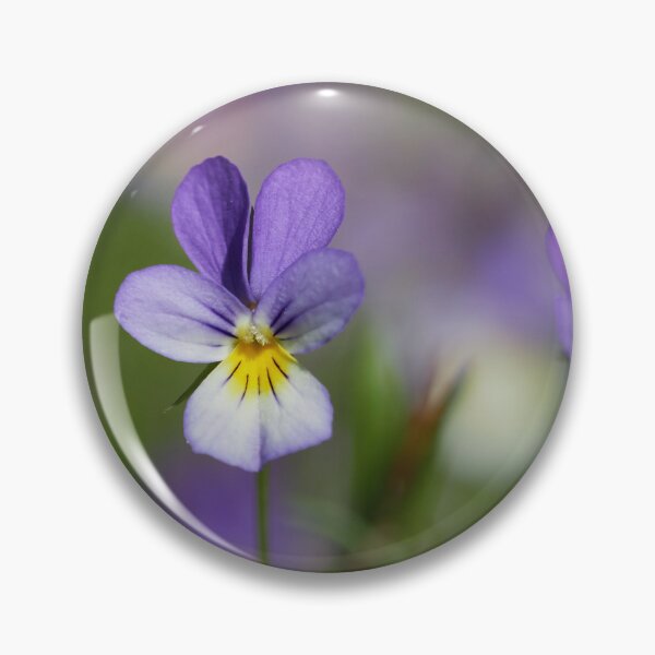 Item preview, The wild purple. Wild pansy designed and sold by Jouko Lehto Photography.