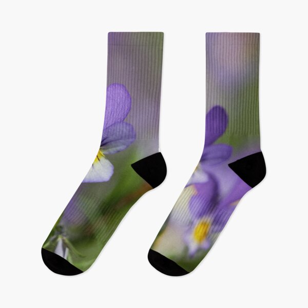 Item preview, The wild purple. Wild pansy designed and sold by Jouko Lehto Photography.