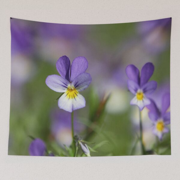 Item preview, The wild purple. Wild pansy designed and sold by Jouko Lehto Photography.