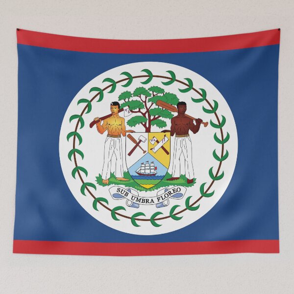 Item preview, Belize Flag designed and sold by shirtsonshirts.