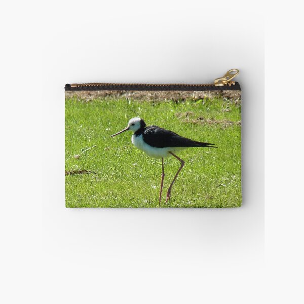 Item preview, Daddy Longlegs - Pied Stilt NZ designed and sold by AndreaEL.