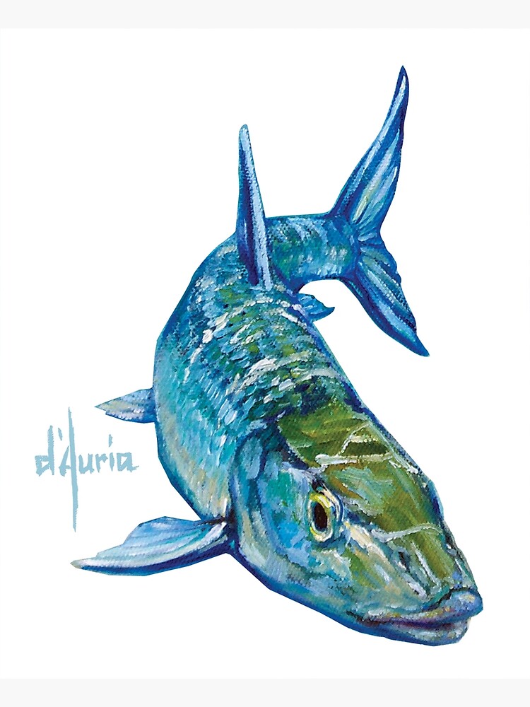  Two Saltwater Fishing Wall Art Prints Bonefish on the