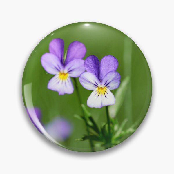 Item preview, Looks like they are floating. Wild pansy designed and sold by Jouko Lehto Photography.