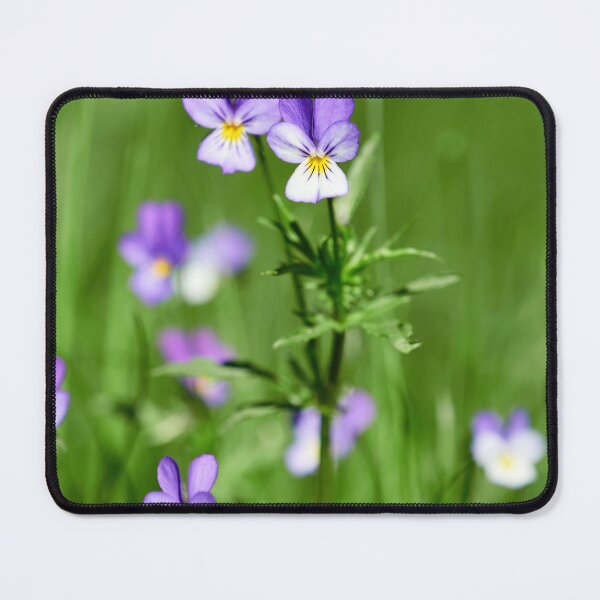 Item preview, Looks like they are floating. Wild pansy designed and sold by Jouko Lehto Photography.