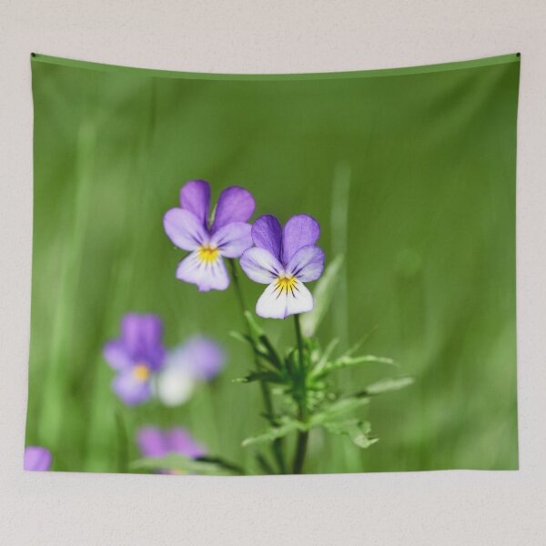 Item preview, Looks like they are floating. Wild pansy designed and sold by Jouko Lehto Photography.