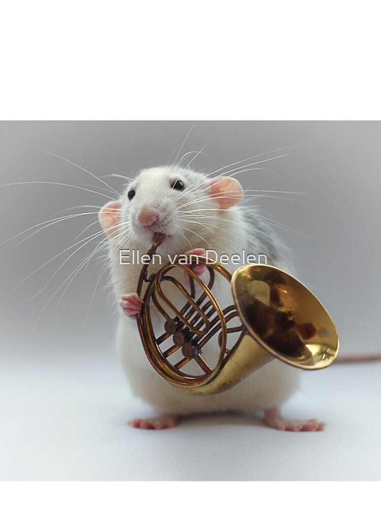 Moppy and his french horn by Ellen