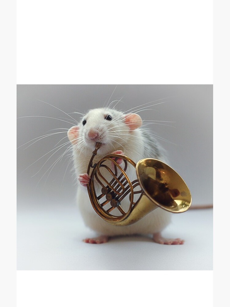 Moppy and his french horn by Ellen